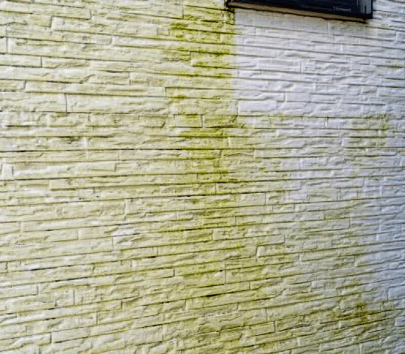 サビ・苔: 防錆剤・苔除去剤を使用し、再発防止の塗料で仕上げ